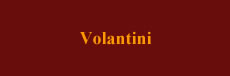 Volantini